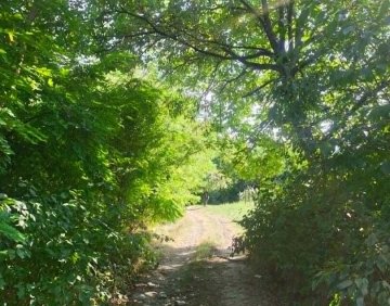 For sale 3360 m² Land plot