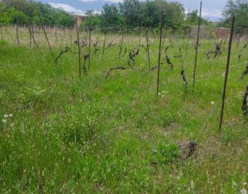 For sale 1620 m² Land plot