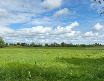For mortgage 1515 m² Land plot