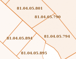 For sale 10000 m² land