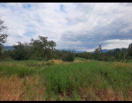 For sale 1400 m² land