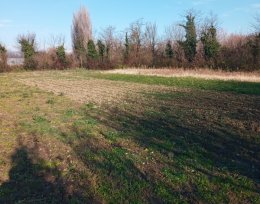 For sale 2200 m² land