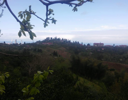 For sale 1564 m² land