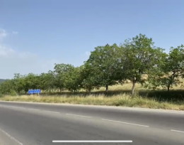 იყიდება 6790 მ² მიწის ნაკვეთი