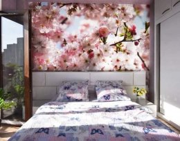 For rent 3 room flat