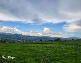 იყიდება 2000 მ² მიწის ნაკვეთი