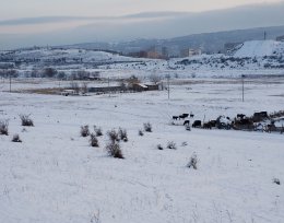 For sale 4000 m² land