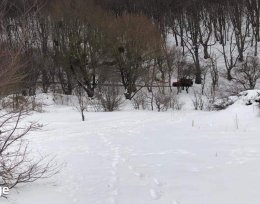 იყიდება 1500 მ² მიწის ნაკვეთი