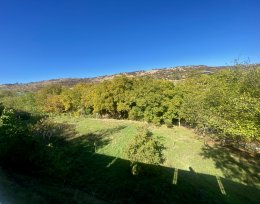 For sale 1500 m² land