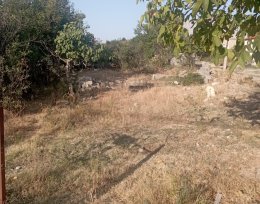 For sale 750 m² land