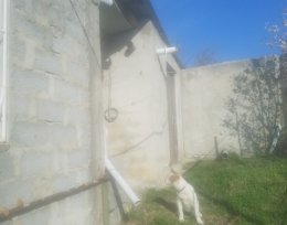 Продается 4 Комнатная квартира