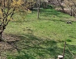 იყიდება 760 მ² მიწის ნაკვეთი