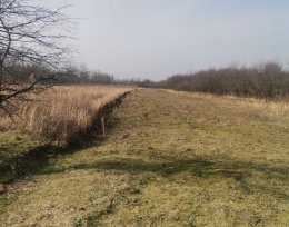 For sale 1000 m² land