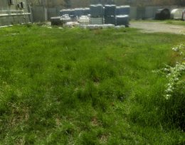 For rent 100 m² land