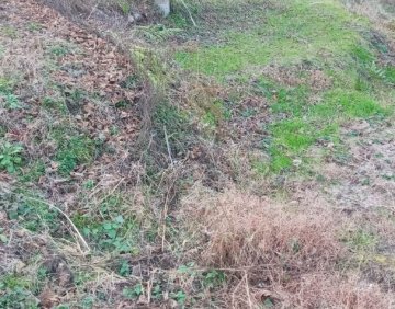 For sale 1000 m² land