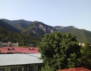 ქირავდება დღიურად 1 ოთახიანი ბინა