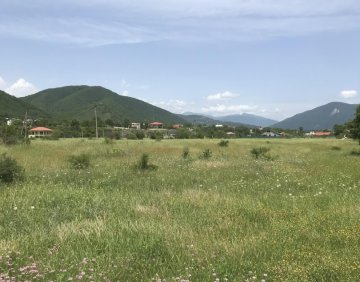 იყიდება 1846 მ² მიწის ნაკვეთი