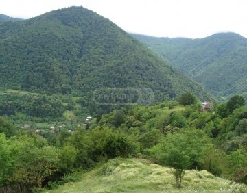 იყიდება 500 მ² მიწის ნაკვეთი