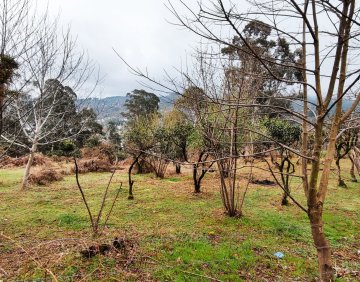 For sale 1387 m² land