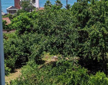 For sale 1000 m² land