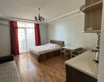 For daily rent Studio type flat