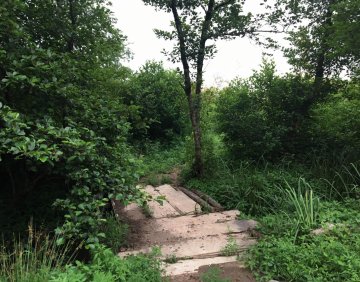 For sale 1600 m² land