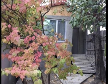 For daily rent 32 m² house