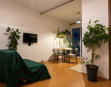 For rent 3 room flat